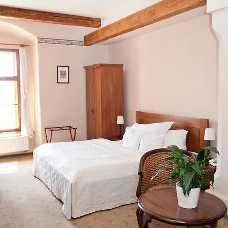 U Zlatého Lva Hotel