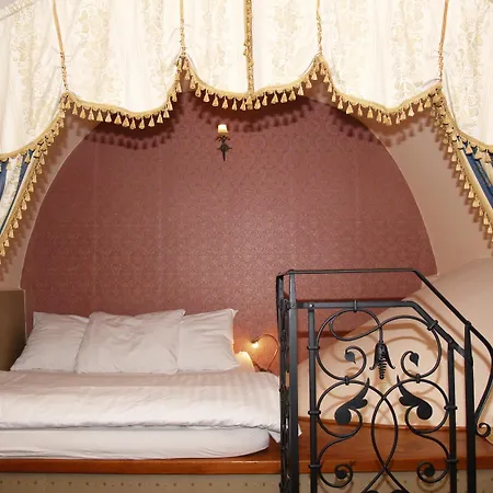 U Zlatého Lva Hotel 3*