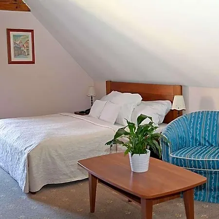 U Zlatého Lva Hotel 3*