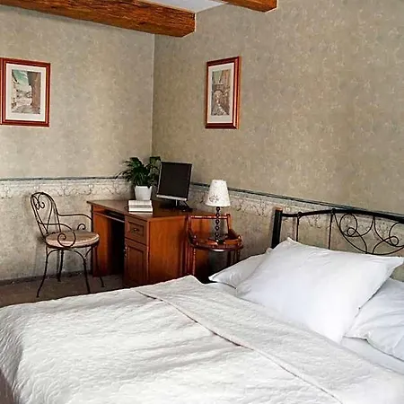 Hotel U Zlatého Lva 3*