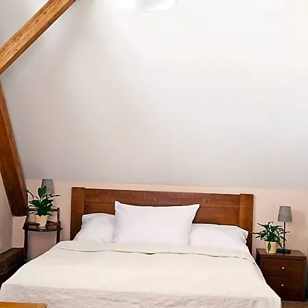 Hotel U Zlatého Lva