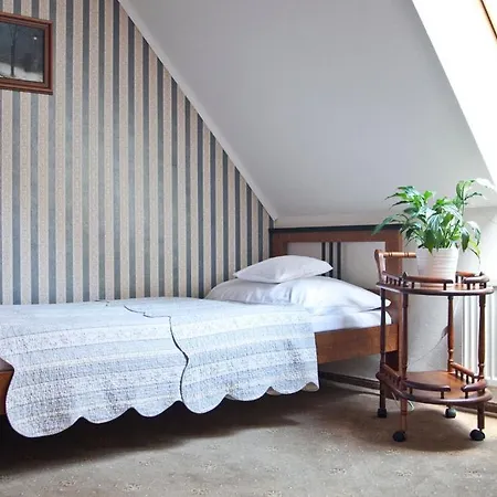 U Zlatého Lva Hotel 3*