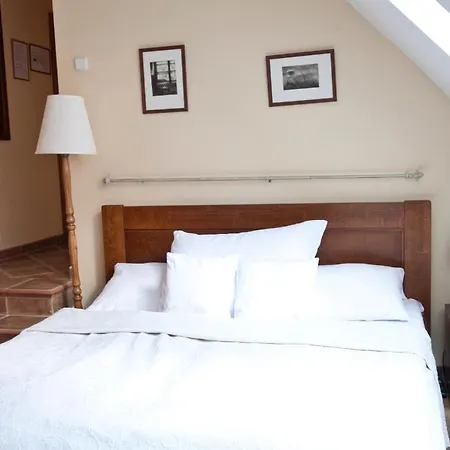 Hotel U Zlatého Lva Havlíčkův Brod