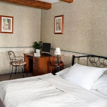 Hotel U Zlateho Lva 3*