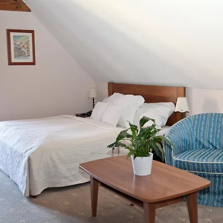 U Zlatého Lva Hotel 3*