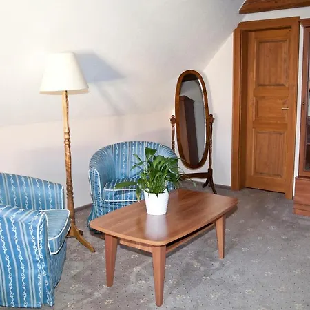 Hotel U Zlateho Lva