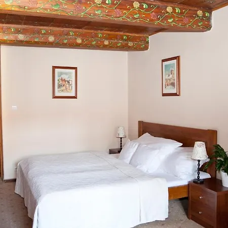 U Zlatého Lva Hotel