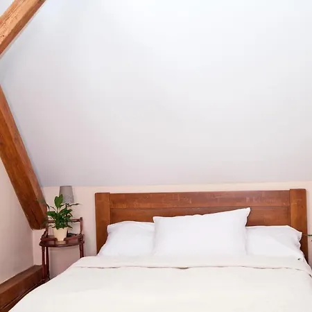 U Zlateho Lva Havlíčkŭv Brod