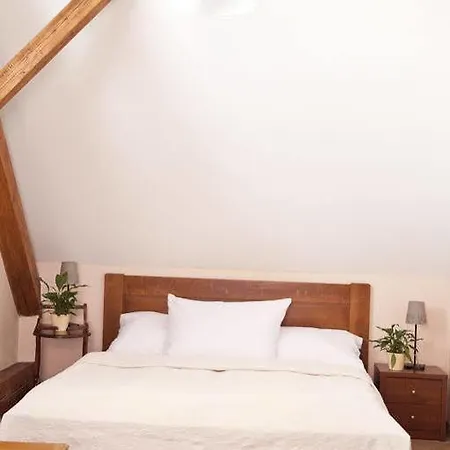 U Zlateho Lva Hotell Havlíčkŭv Brod
