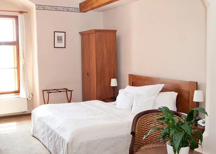 U Zlateho Lva Hotel