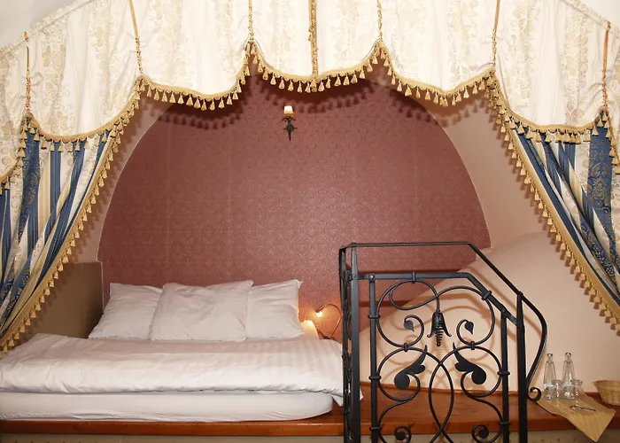 U Zlateho Lva Hotel 3*
