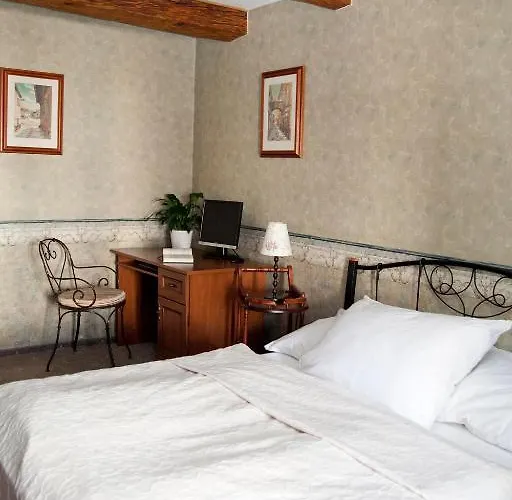 Hotel U Zlateho Lva 3*