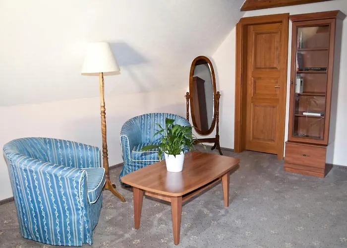 Hotel U Zlateho Lva