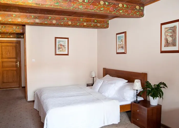 U Zlateho Lva Hotel