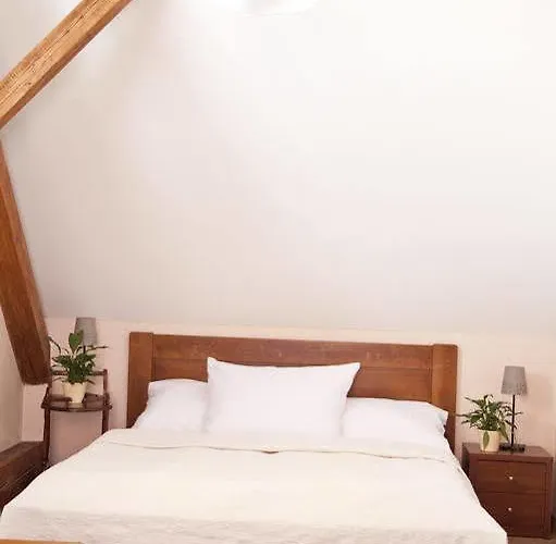 U Zlateho Lva Hotel Havlíčkŭv Brod